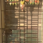 Ganesha light for entrance - Wall mounted lamps for pooja rooms  - Black metal fixture | Beige color | Cylinder shape photo review