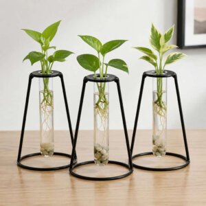 Woodooz Table Top Test Tube Planter Set of 3 | Glass Propagation Vase with Black Metal Stand | Hydroponic Plant Holder for Money Plant, Pothos & Indoor Plants