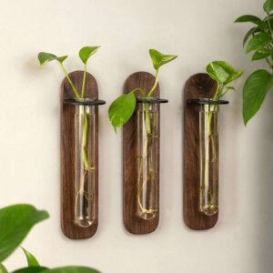 Wooden Wall Mounted Test Tube Planter Set of 3 | Glass Propagation Vase for Indoor Plants